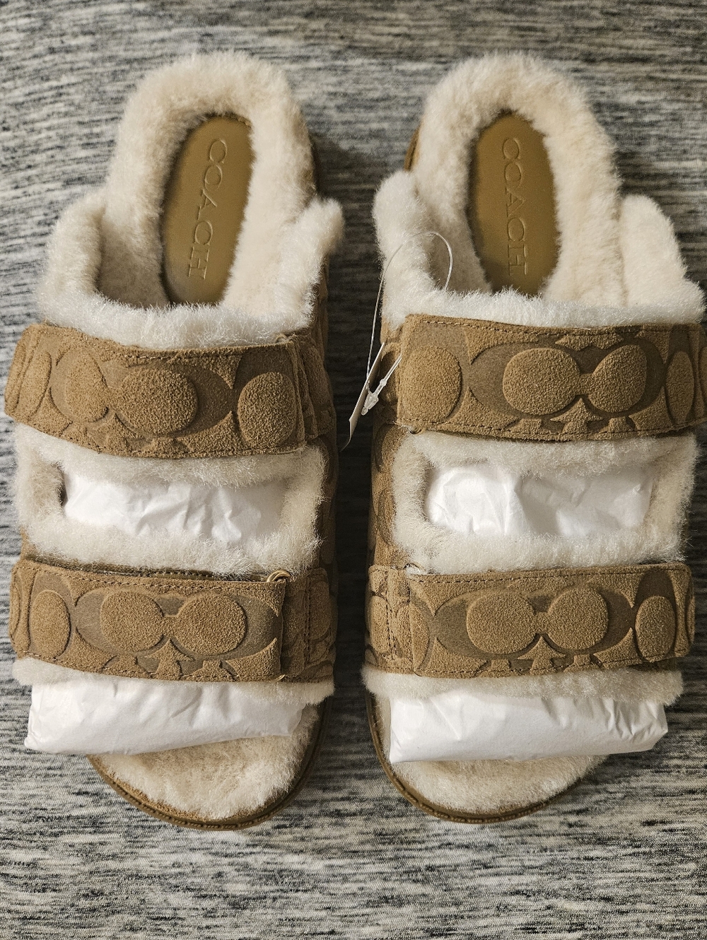 Coach Slides